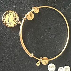 Capricorn Alex and ani
